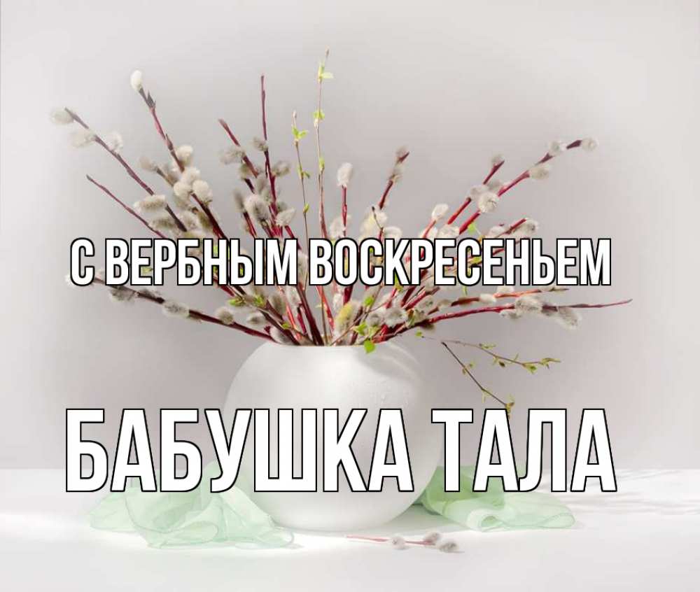 Открытка на каждый день с именем, Бабушка-Тала С вербным воскресеньем верба Прикольная открытка с пожеланием онлайн скачать бесплатно 