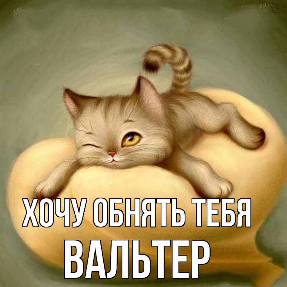 Открытка на каждый день с именем, Вальтер Хочу обнять тебя кошечка Прикольная открытка с пожеланием онлайн скачать бесплатно 