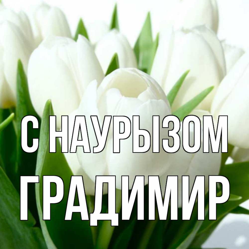Открытка на каждый день с именем, Градимир С наурызом цветы Прикольная открытка с пожеланием онлайн скачать бесплатно 