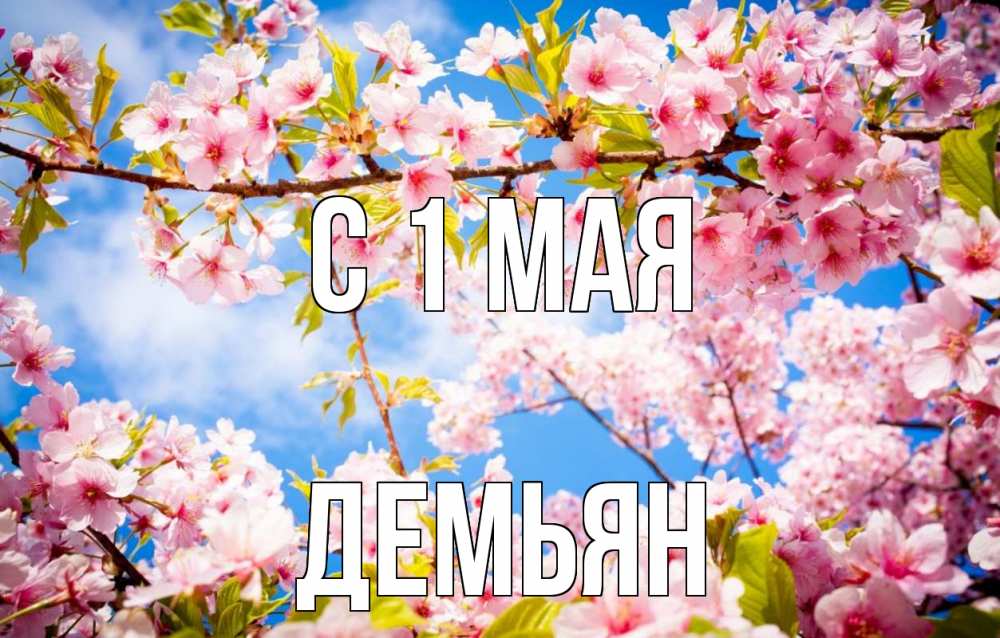 Открытка на каждый день с именем, Демьян С 1 мая С 1 мая Прикольная открытка с пожеланием онлайн скачать бесплатно 