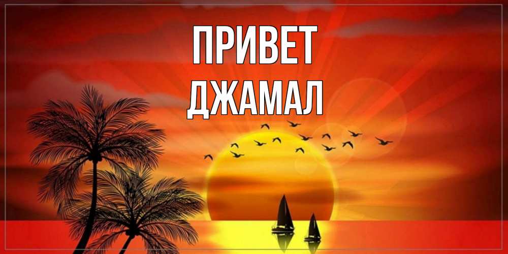 Открытка на каждый день с именем, Джамал Привет привет Прикольная открытка с пожеланием онлайн скачать бесплатно 