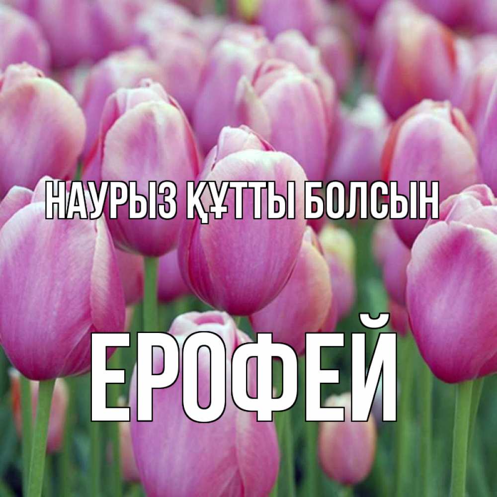 Открытка на каждый день с именем, Ерофей Наурыз құтты болсын на наурыз  день 3 Прикольная открытка с пожеланием онлайн скачать бесплатно 