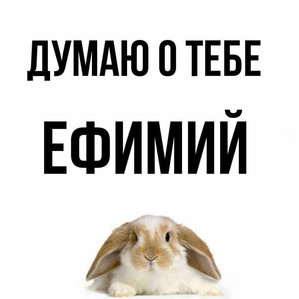 Открытка на каждый день с именем, Ефимий Думаю о тебе подписать своими руками онлайн Прикольная открытка с пожеланием онлайн скачать бесплатно 