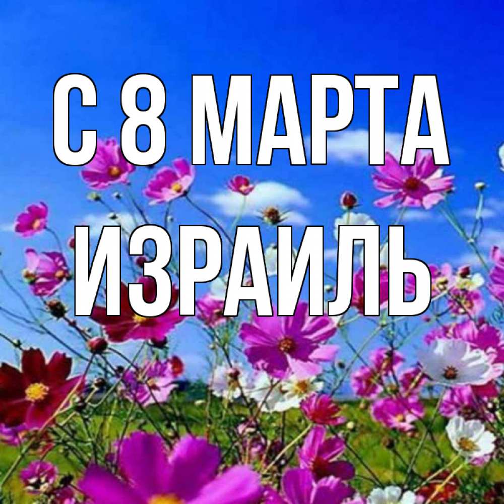 Открытка на каждый день с именем, Израиль С 8 МАРТА цветы Прикольная открытка с пожеланием онлайн скачать бесплатно 
