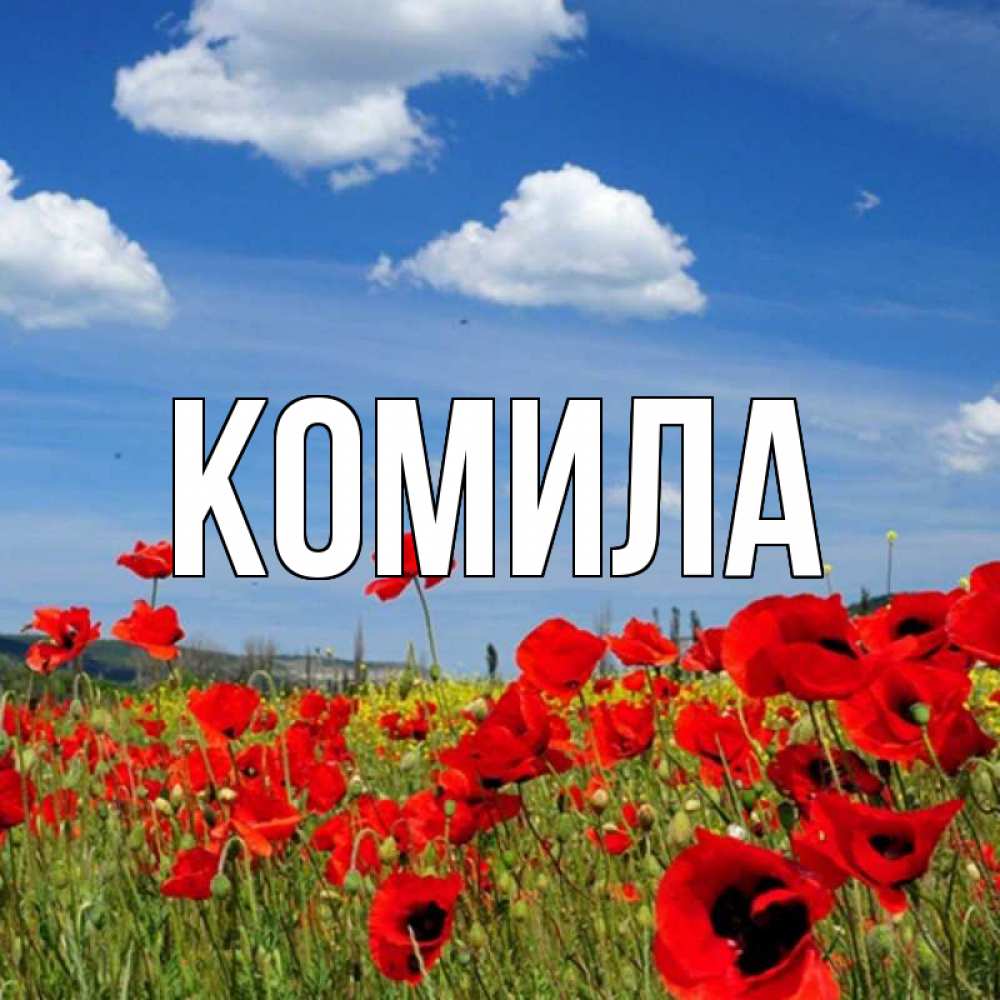 Открытка на каждый день с именем, Комила Главная международный женский день 1 Прикольная открытка с пожеланием онлайн скачать бесплатно 