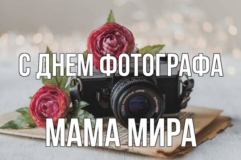 Открытка на каждый день с именем, Мама-Мира С днем фотографа с днем фотографа Прикольная открытка с пожеланием онлайн скачать бесплатно 