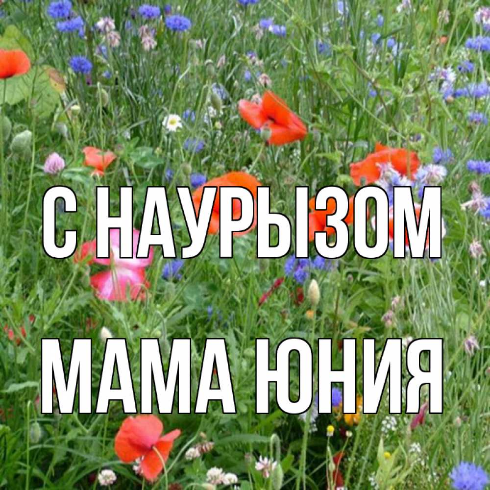 Открытка на каждый день с именем, Мама-Юния С наурызом праздник весны наурыз супер открытка Прикольная открытка с пожеланием онлайн скачать бесплатно 