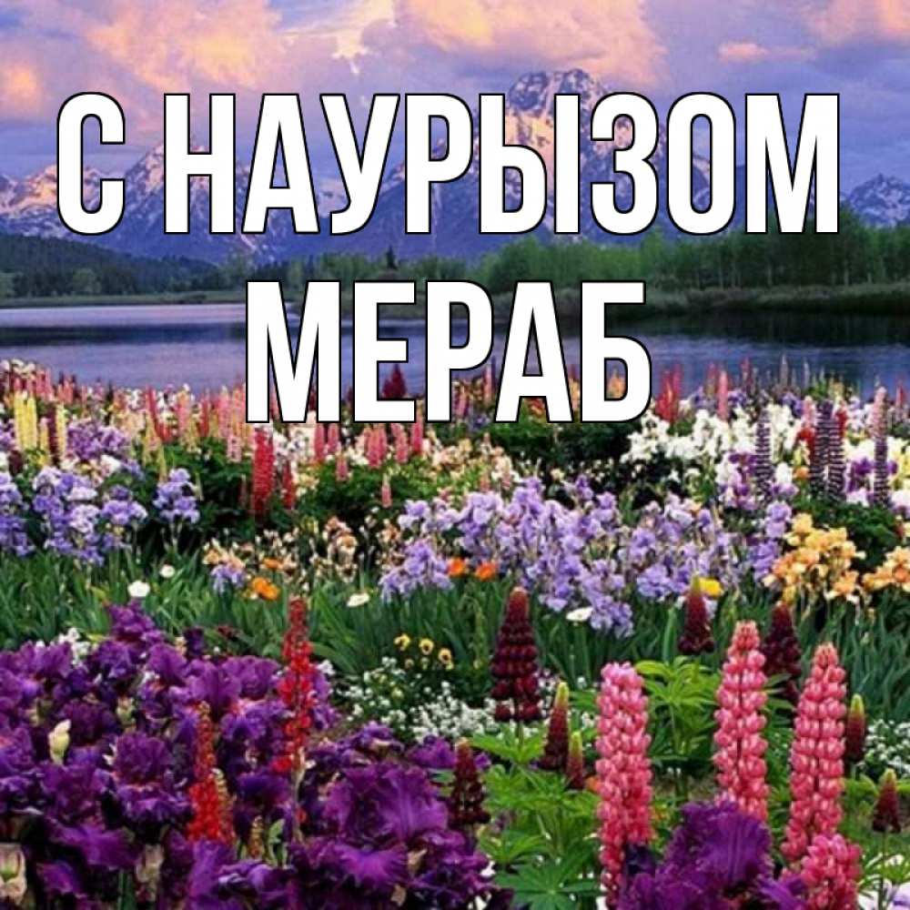Открытка на каждый день с именем, Мераб С наурызом праздник весны наурыз Прикольная открытка с пожеланием онлайн скачать бесплатно 