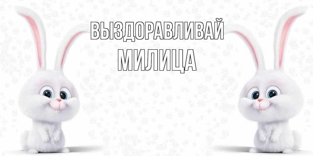 Открытка на каждый день с именем, Милица Выздоравливай не болей с зайцем Прикольная открытка с пожеланием онлайн скачать бесплатно 