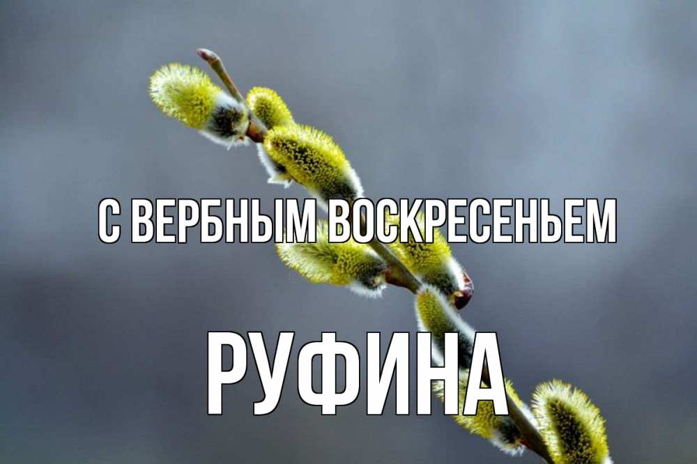 Открытка на каждый день с именем, Руфина С вербным воскресеньем верба Прикольная открытка с пожеланием онлайн скачать бесплатно 