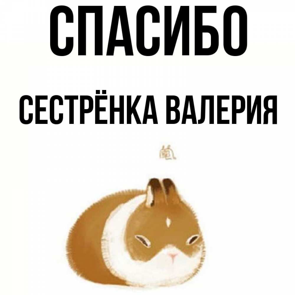 Открытка на каждый день с именем, Сестрёнка-Валерия Спасибо коричнево белый домашний питомец Прикольная открытка с пожеланием онлайн скачать бесплатно 