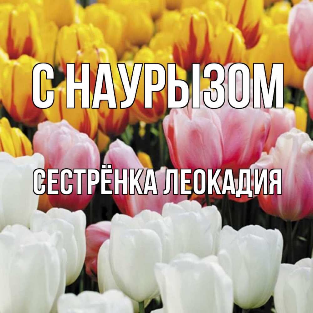 Открытка на каждый день с именем, Сестрёнка-Леокадия С наурызом разноцветные цветы Прикольная открытка с пожеланием онлайн скачать бесплатно 