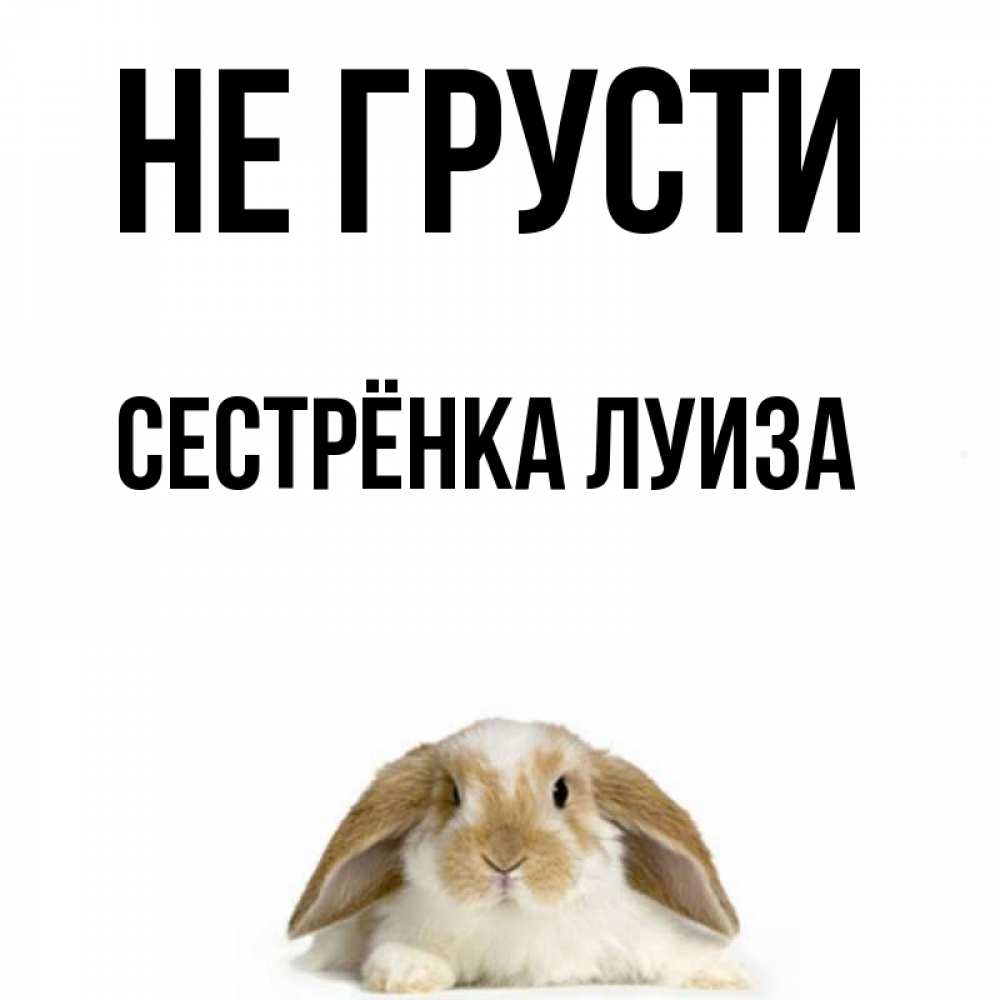 Открытка на каждый день с именем, Сестрёнка-Луиза Не грусти коричнево белый заяц с большими ушками Прикольная открытка с пожеланием онлайн скачать бесплатно 