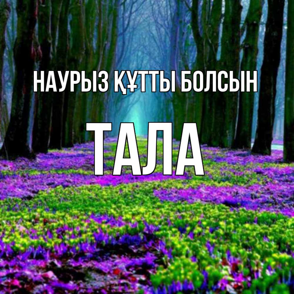 Открытка на каждый день с именем, Тала Наурыз құтты болсын фиолетовые цветы в лесу 1 Прикольная открытка с пожеланием онлайн скачать бесплатно 