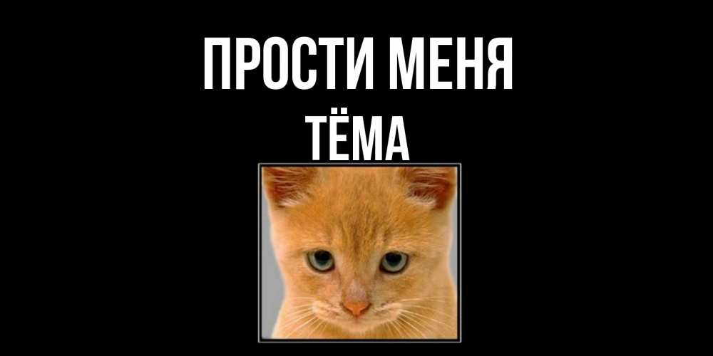 Открытка на каждый день с именем, Тёма Прости меня рыжий грустный кот просит прощения Прикольная открытка с пожеланием онлайн скачать бесплатно 