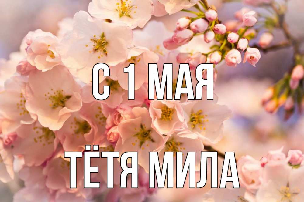 Открытка на каждый день с именем, Тётя-Мила С 1 мая С 1 мая Прикольная открытка с пожеланием онлайн скачать бесплатно 