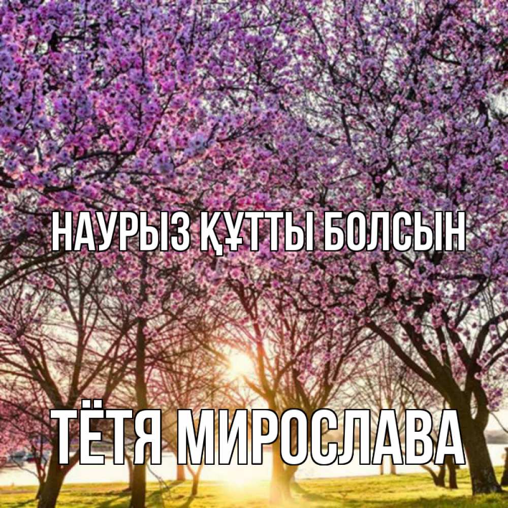 Открытка на каждый день с именем, Тётя-Мирослава Наурыз құтты болсын наурыз Прикольная открытка с пожеланием онлайн скачать бесплатно 