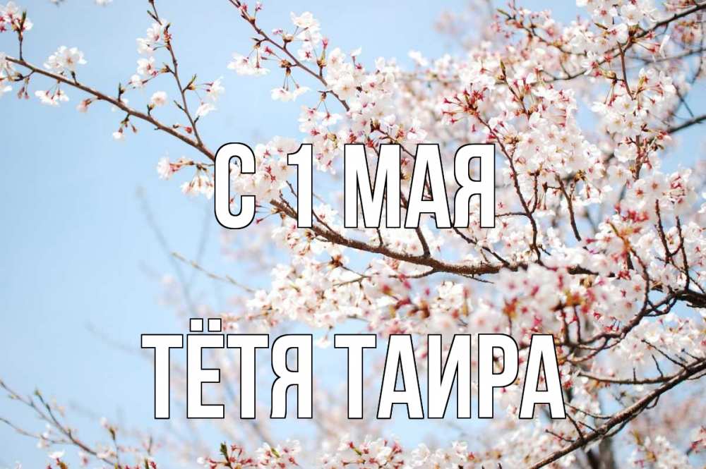 Открытка на каждый день с именем, Тётя-Таира С 1 мая С 1 мая Прикольная открытка с пожеланием онлайн скачать бесплатно 