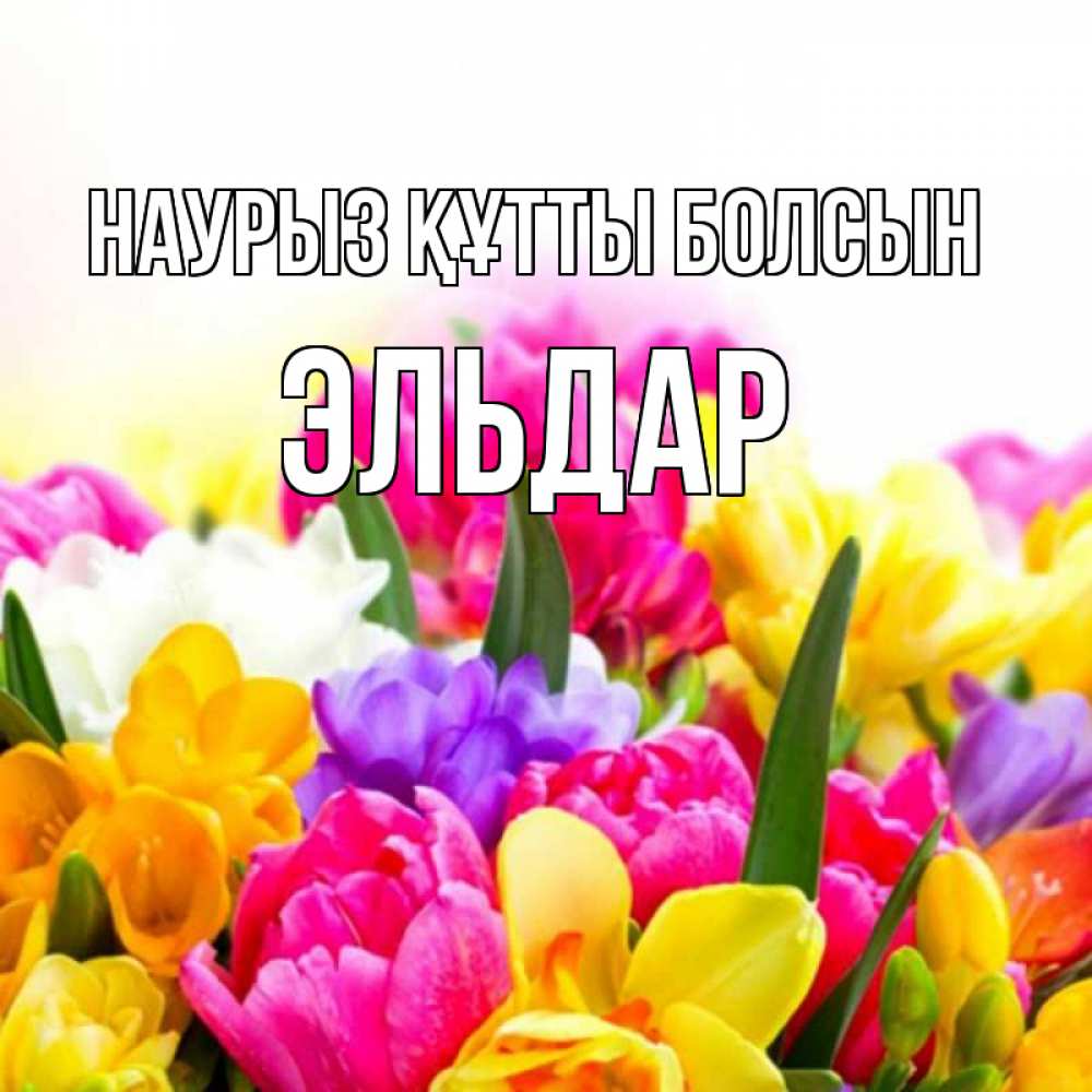 Открытка на каждый день с именем, Эльдар Наурыз құтты болсын тюльпаны Прикольная открытка с пожеланием онлайн скачать бесплатно 