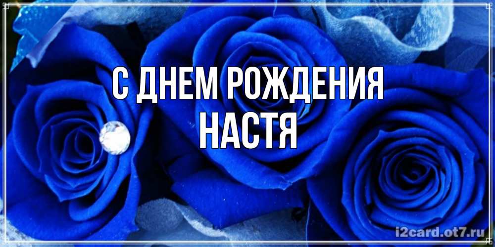 Открытка на каждый день с именем, настя С днем рождения синие розы в росе Прикольная открытка с пожеланием онлайн скачать бесплатно 