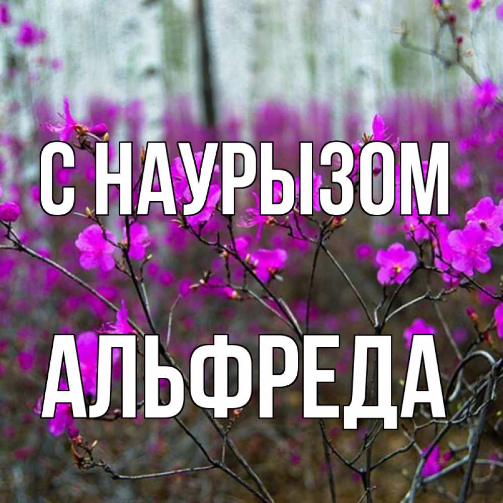 Открытка на каждый день с именем, Альфреда С наурызом дикие цветы Прикольная открытка с пожеланием онлайн скачать бесплатно 