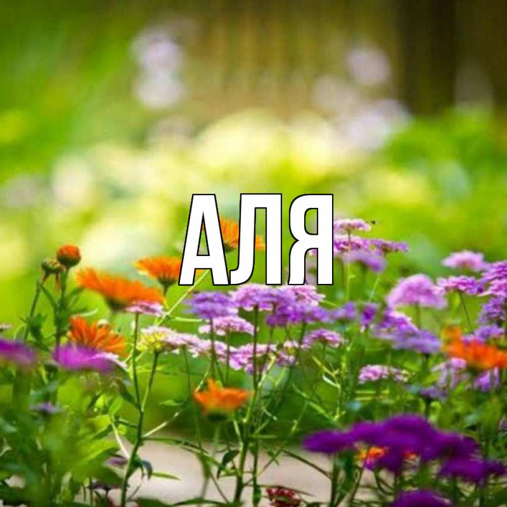 Открытка на каждый день с именем, Аля Главная цветы Прикольная открытка с пожеланием онлайн скачать бесплатно 