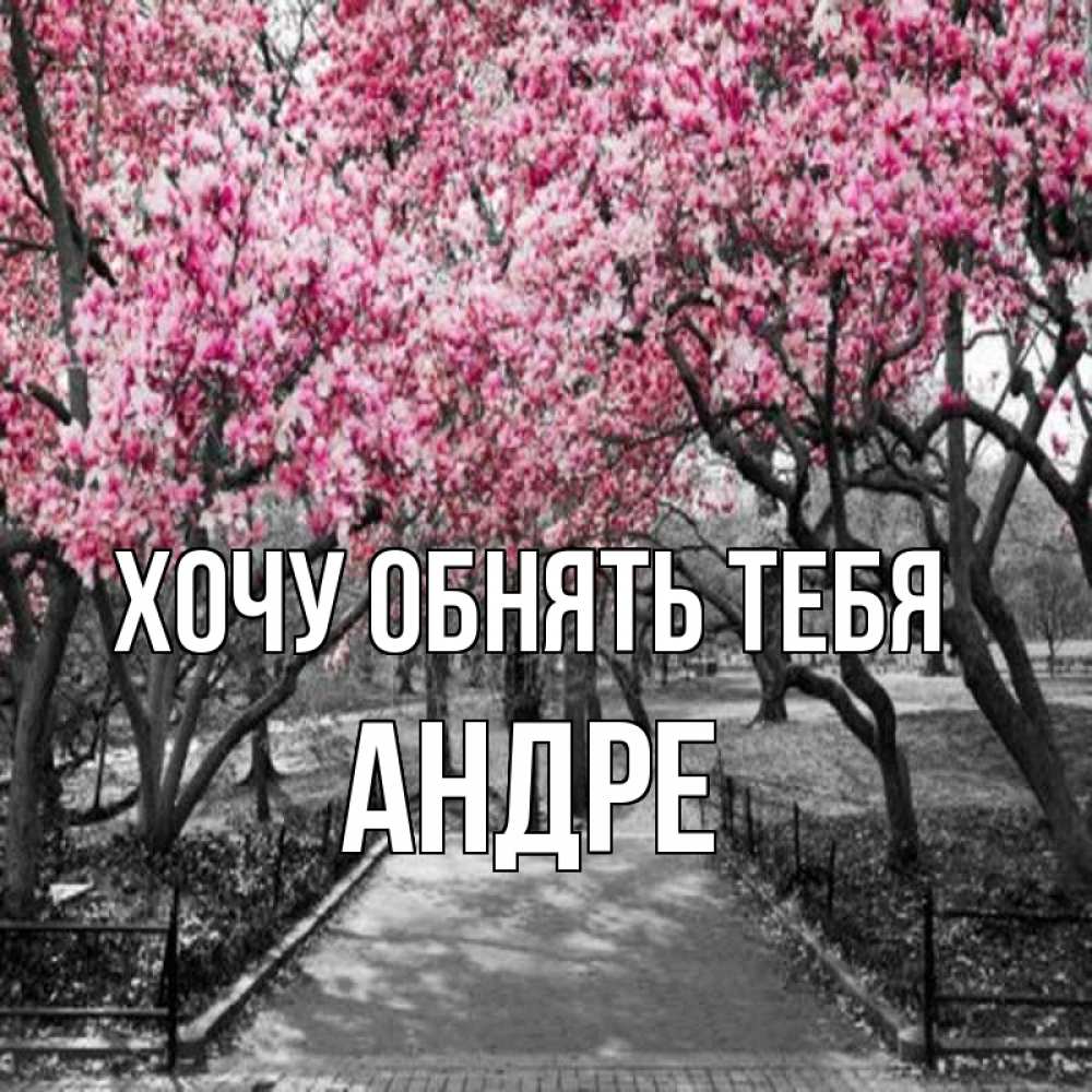 Открытка на каждый день с именем, Андре Хочу обнять тебя обработанное фото Прикольная открытка с пожеланием онлайн скачать бесплатно 