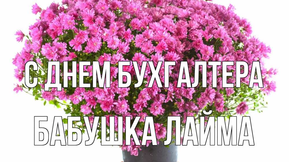 Открытка на каждый день с именем, Бабушка-Лайма С днем бухгалтера с днем бухгалтера Прикольная открытка с пожеланием онлайн скачать бесплатно 