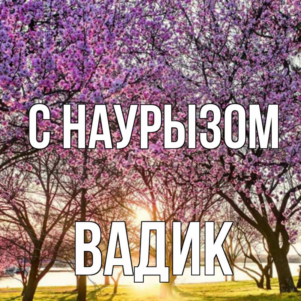 Открытка на каждый день с именем, Вадик С наурызом праздник весны наурыз Прикольная открытка с пожеланием онлайн скачать бесплатно 