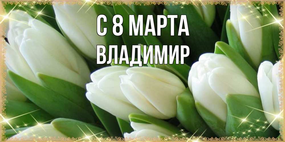 Открытка на каждый день с именем, Владимир С 8 МАРТА поздравляем с 8 марта Прикольная открытка с пожеланием онлайн скачать бесплатно 