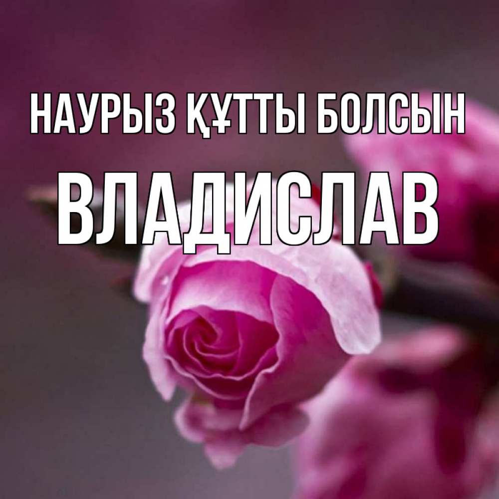 Открытка на каждый день с именем, Владислав Наурыз құтты болсын весна Прикольная открытка с пожеланием онлайн скачать бесплатно 