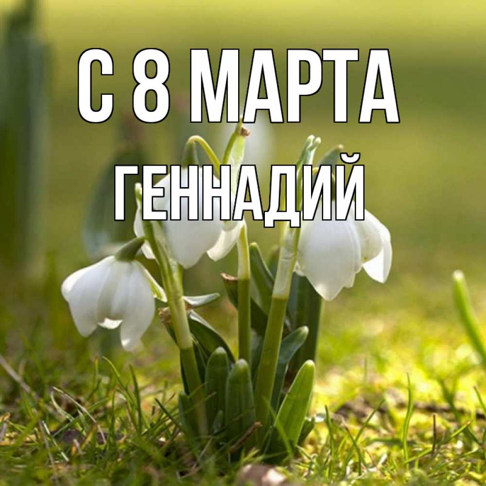 Открытка на каждый день с именем, Геннадий С 8 МАРТА ранние цветы 2 Прикольная открытка с пожеланием онлайн скачать бесплатно 