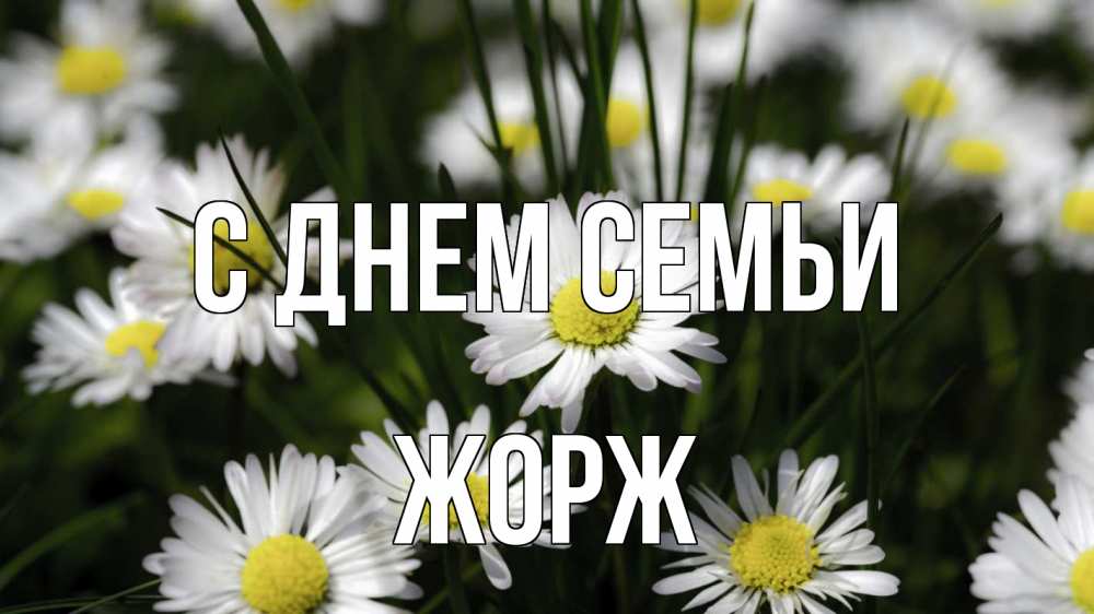 Открытка на каждый день с именем, Жорж С днем семьи с днем семьи  2 Прикольная открытка с пожеланием онлайн скачать бесплатно 