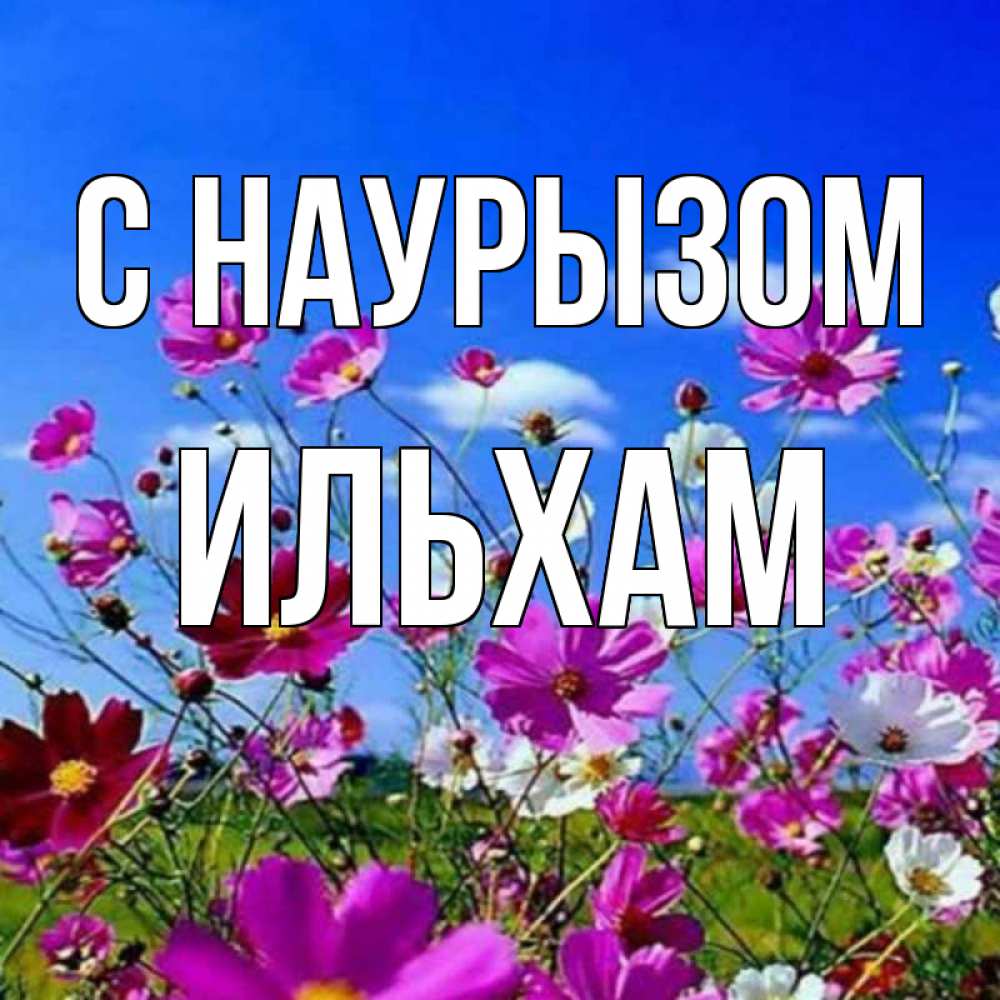 Открытка на каждый день с именем, Ильхам С наурызом цветы Прикольная открытка с пожеланием онлайн скачать бесплатно 