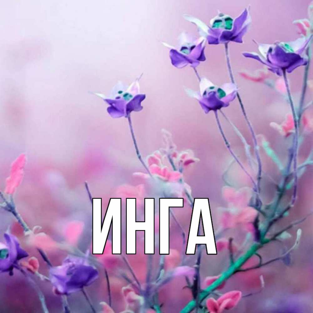 Картинка С Именем Инга