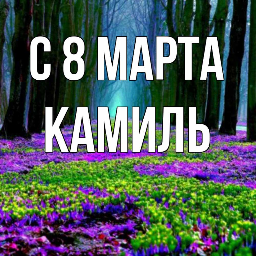 Открытка на каждый день с именем, Камиль С 8 марта фиолетовые цветы в лесу 1 Прикольная открытка с пожеланием онлайн скачать бесплатно 