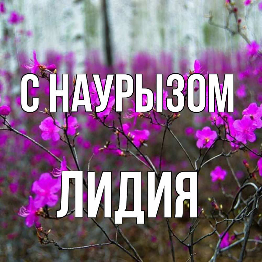 Открытка на каждый день с именем, Лидия С наурызом дикие цветы Прикольная открытка с пожеланием онлайн скачать бесплатно 