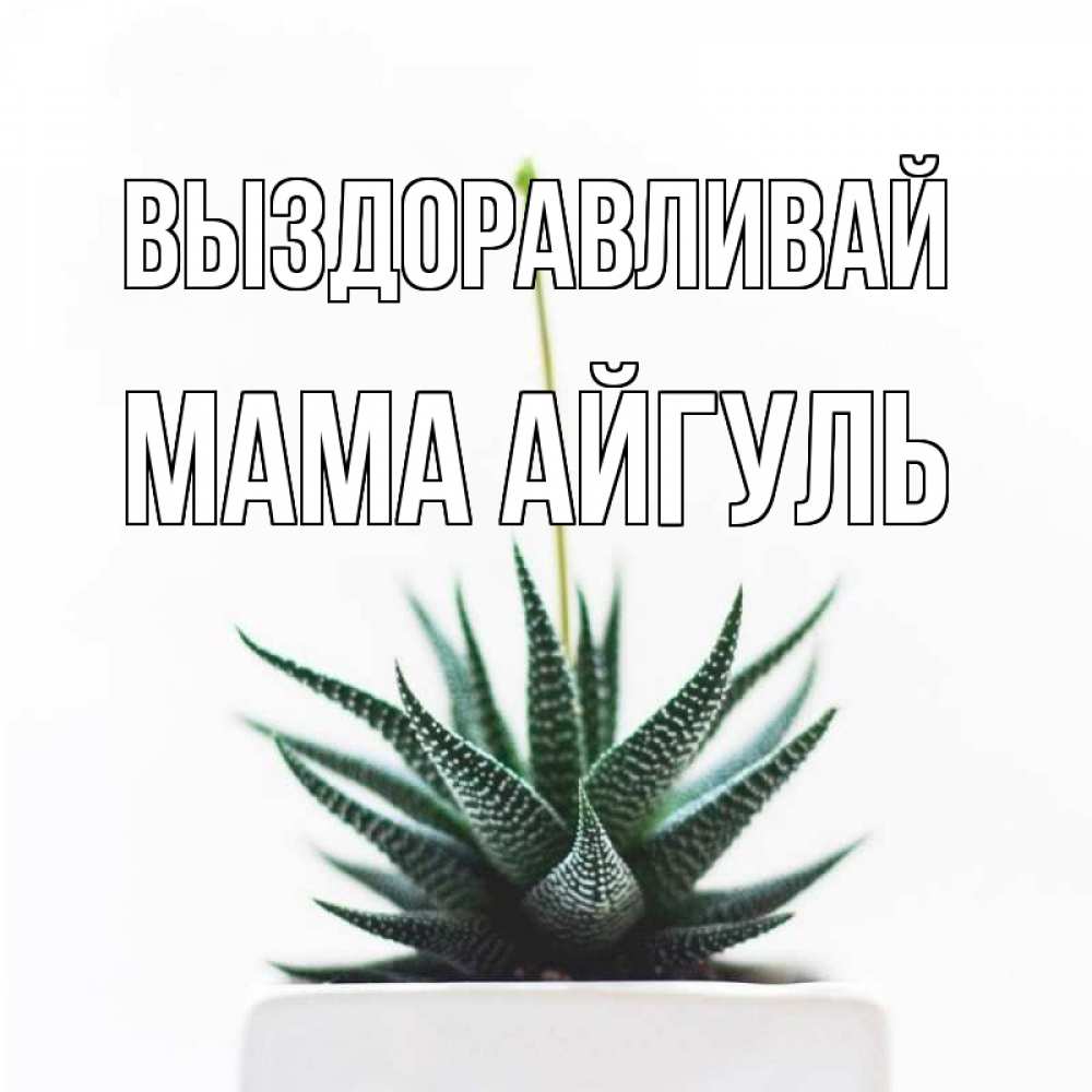 Открытка на каждый день с именем, Мама-Айгуль Выздоравливай короче это непонятная колючка Прикольная открытка с пожеланием онлайн скачать бесплатно 