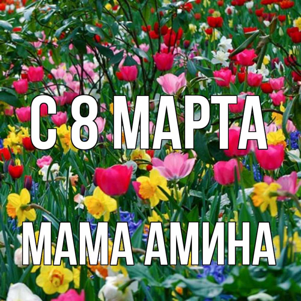 Открытка на каждый день с именем, Мама-Амина С 8 марта с международным женским днем поздравления для женщины Прикольная открытка с пожеланием онлайн скачать бесплатно 