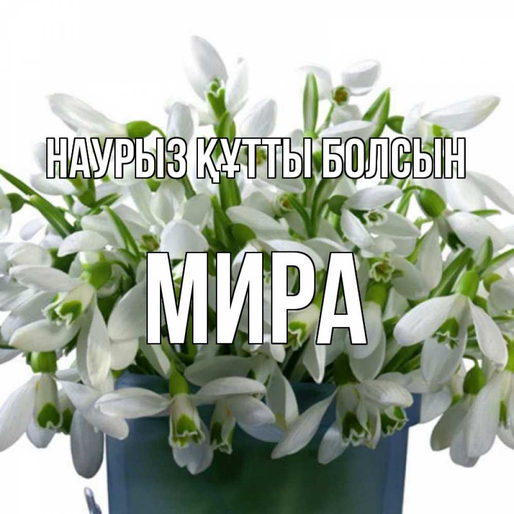 Открытка на каждый день с именем, Мира Наурыз құтты болсын цветы к наурызу Прикольная открытка с пожеланием онлайн скачать бесплатно 