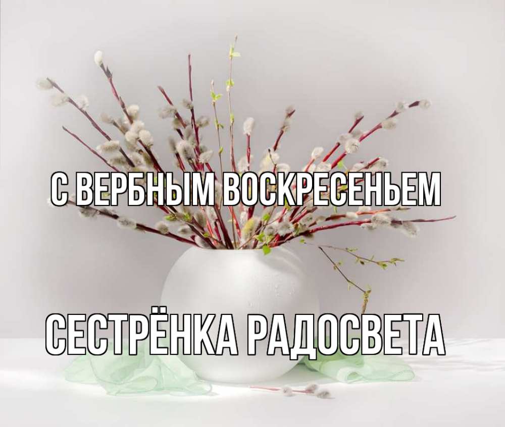 Открытка на каждый день с именем, Сестрёнка-Радосвета С вербным воскресеньем верба Прикольная открытка с пожеланием онлайн скачать бесплатно 