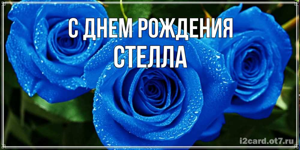 Открытка на каждый день с именем, Стелла С днем рождения розы с синим цветом Прикольная открытка с пожеланием онлайн скачать бесплатно 