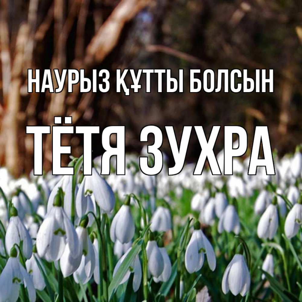 Открытка на каждый день с именем, Тётя-Зухра Наурыз құтты болсын с подснежниками 1 Прикольная открытка с пожеланием онлайн скачать бесплатно 