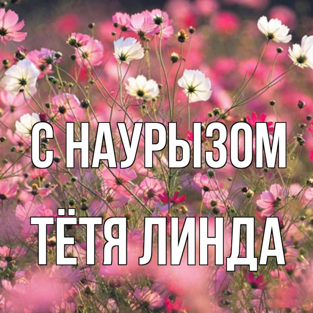 Открытка на каждый день с именем, Тётя-Линда С наурызом красиво 1 Прикольная открытка с пожеланием онлайн скачать бесплатно 
