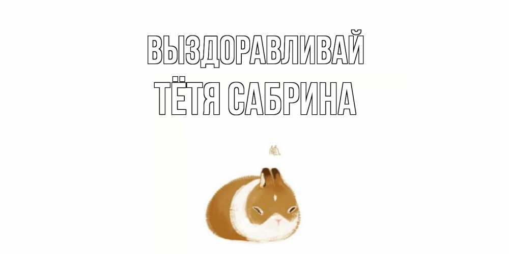 Открытка на каждый день с именем, Тётя-Сабрина Выздоравливай морская свинка на открытке с пожеланиями не болеть Прикольная открытка с пожеланием онлайн скачать бесплатно 