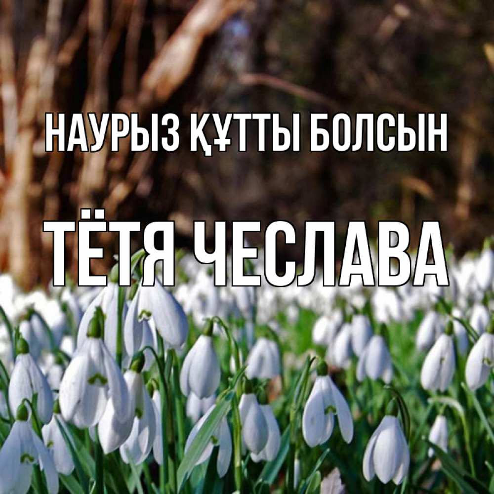 Открытка на каждый день с именем, Тётя-Чеслава Наурыз құтты болсын с подснежниками 1 Прикольная открытка с пожеланием онлайн скачать бесплатно 