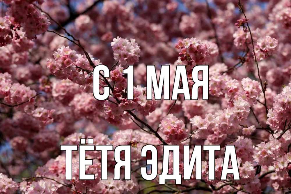 Открытка на каждый день с именем, Тётя-Эдита С 1 мая С 1 мая Прикольная открытка с пожеланием онлайн скачать бесплатно 