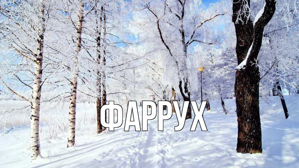 Открытка на каждый день с именем, Фаррух Главная зимний лес Прикольная открытка с пожеланием онлайн скачать бесплатно 