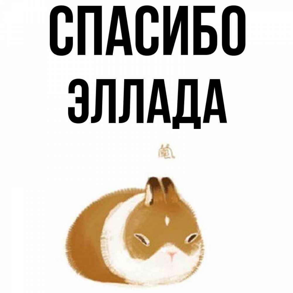 Открытка на каждый день с именем, Эллада Спасибо коричнево белый домашний питомец Прикольная открытка с пожеланием онлайн скачать бесплатно 