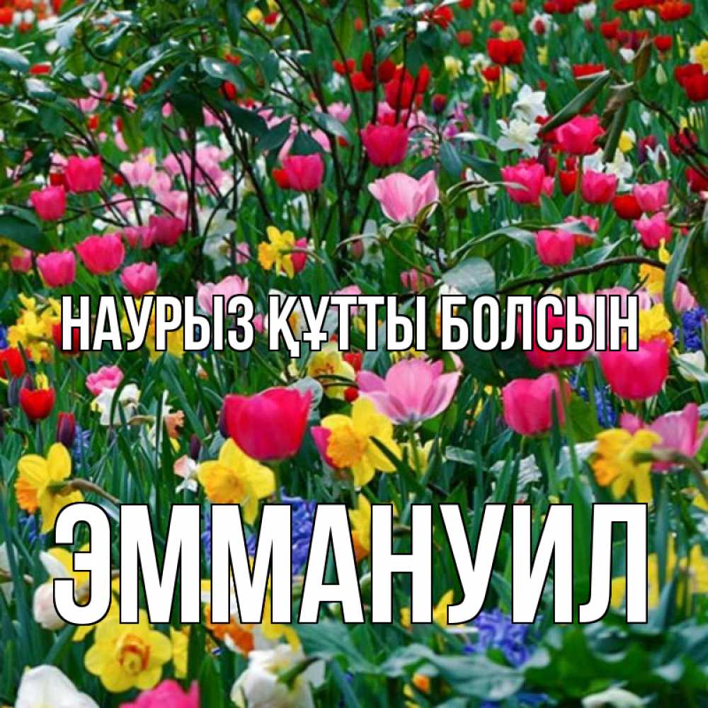 Открытка на каждый день с именем, Эммануил Наурыз құтты болсын с наурызом поздравления для женщины Прикольная открытка с пожеланием онлайн скачать бесплатно 